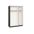 DREHTÜRENSCHRANK  in Anthrazit, Schwarz  - Edelstahlfarben/Anthrazit, Design, Glas/Holzwerkstoff (152/195/59cm) - Carryhome