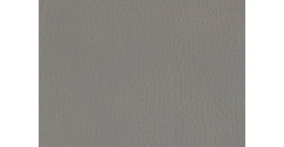 WOHNLANDSCHAFT in Echtleder Hellgrau - Hellgrau/Schwarz, Natur, Leder/Metall (222/364/159cm) - Dieter Knoll