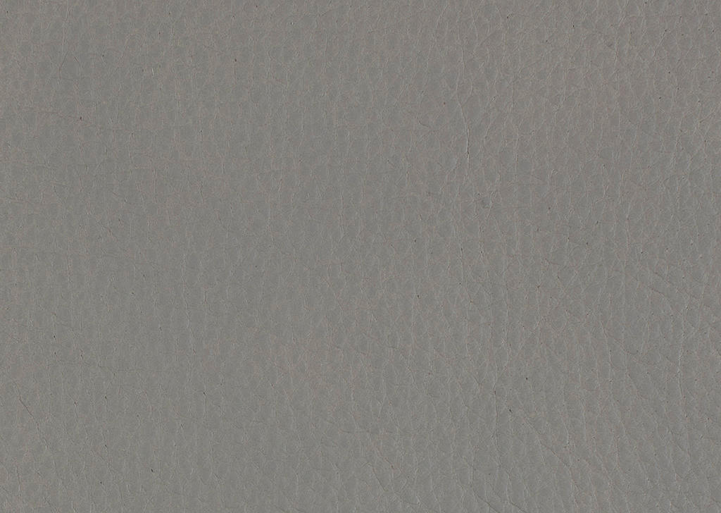 WOHNLANDSCHAFT in Echtleder Hellgrau  - Hellgrau/Schwarz, Natur, Leder/Metall (222/364/159cm) - Dieter Knoll