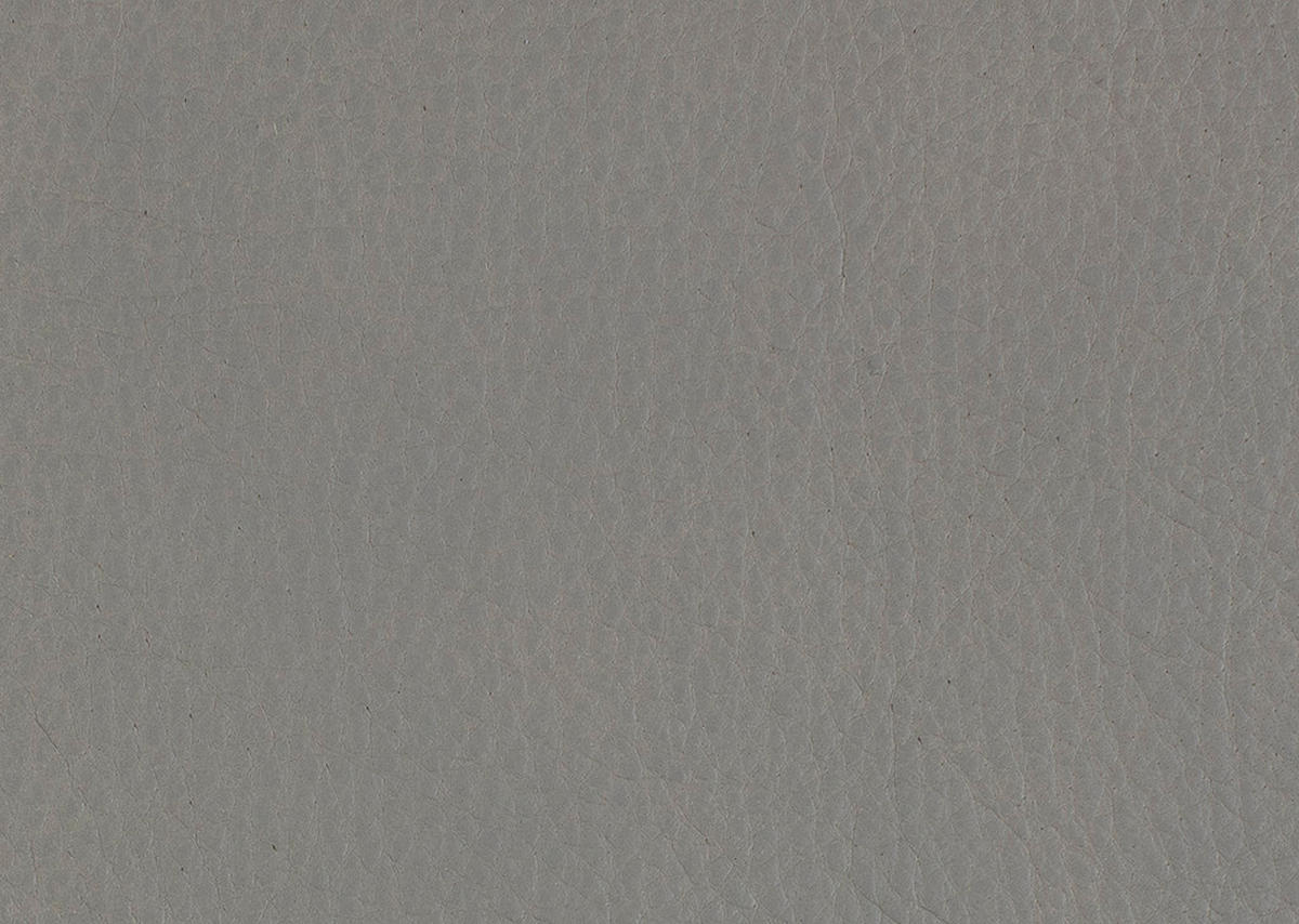WOHNLANDSCHAFT in Echtleder Hellgrau  - Hellgrau/Schwarz, Natur, Leder/Metall (222/364/159cm) - Dieter Knoll