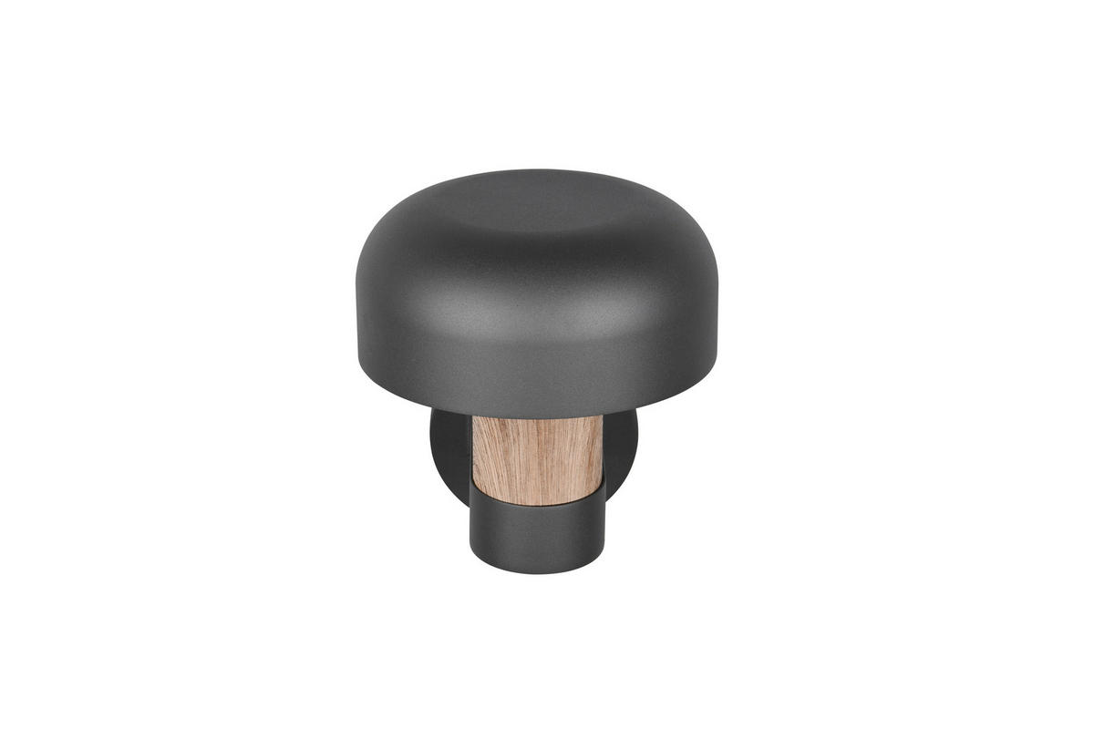 AUSSENWANDLEUCHTE - Anthrazit/Braun, Design, Metall (19/24,5/25cm) - Trio Leuchten