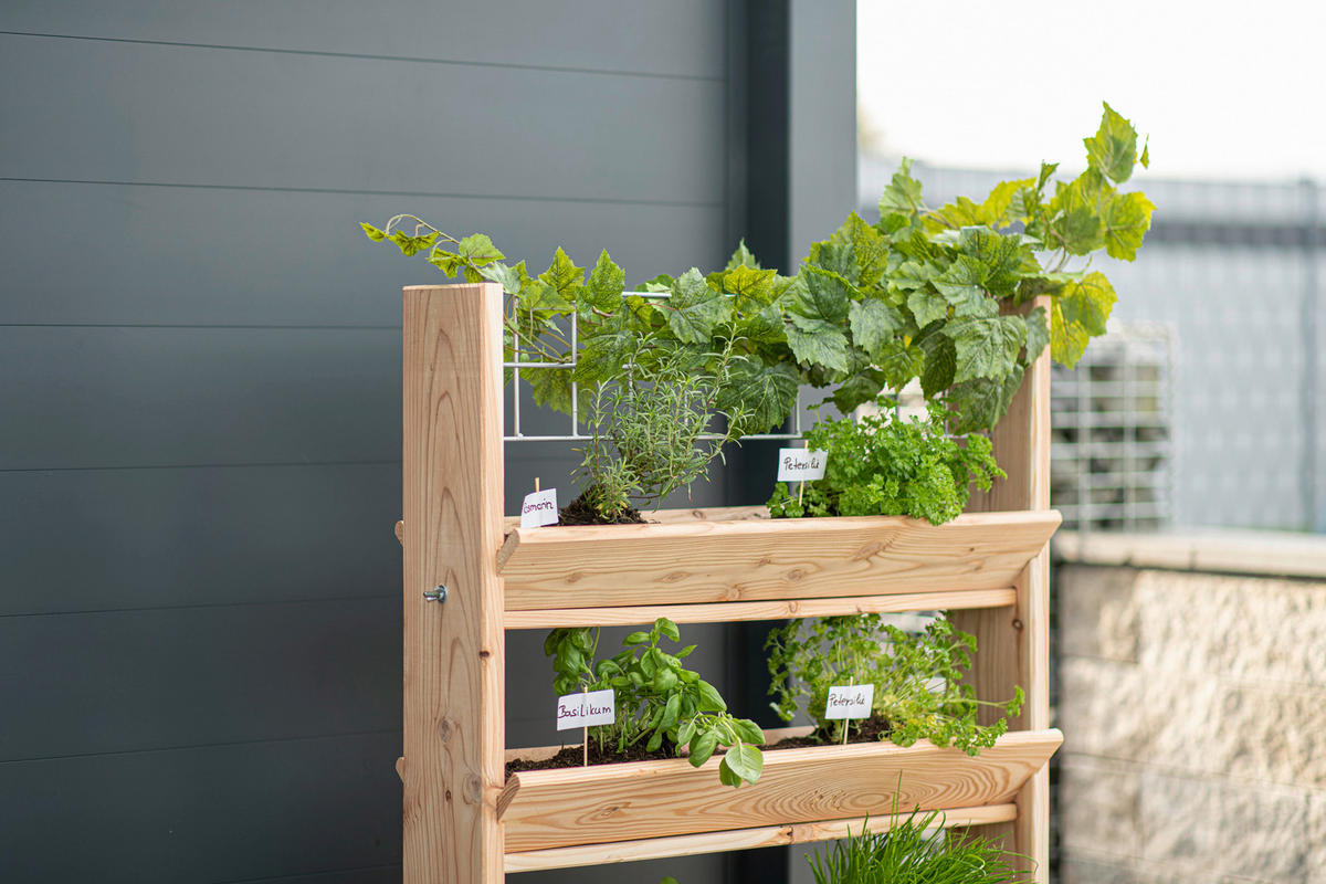 GARTENREGAL Holz  - Lärchefarben, Basics, Holz (80/95/50cm) - Ambia Garden