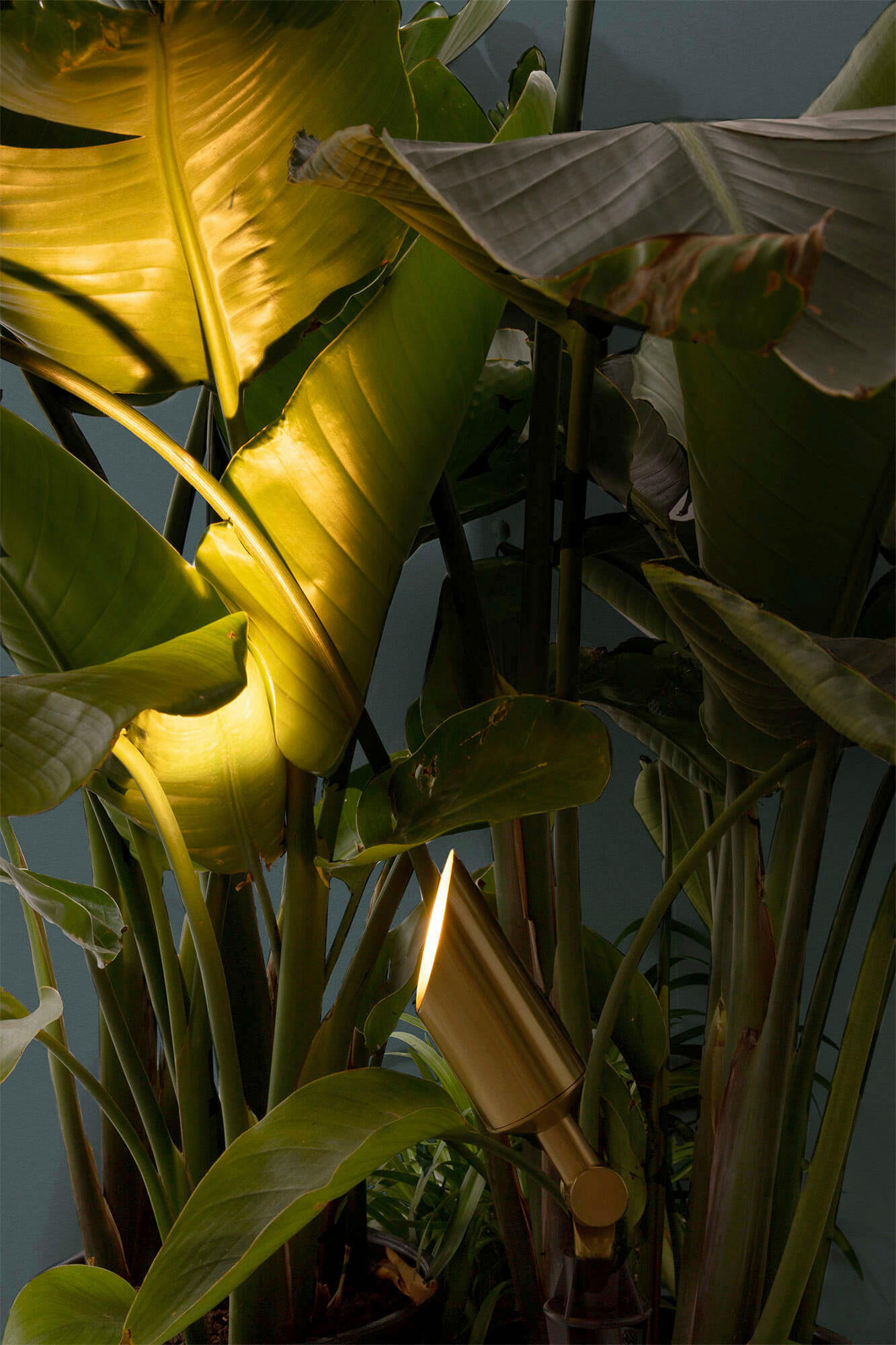 WEGELEUCHTE 5.6/5.6/40 cm   - Goldfarben, LIFESTYLE, Metall (5.6/5.6/40cm)