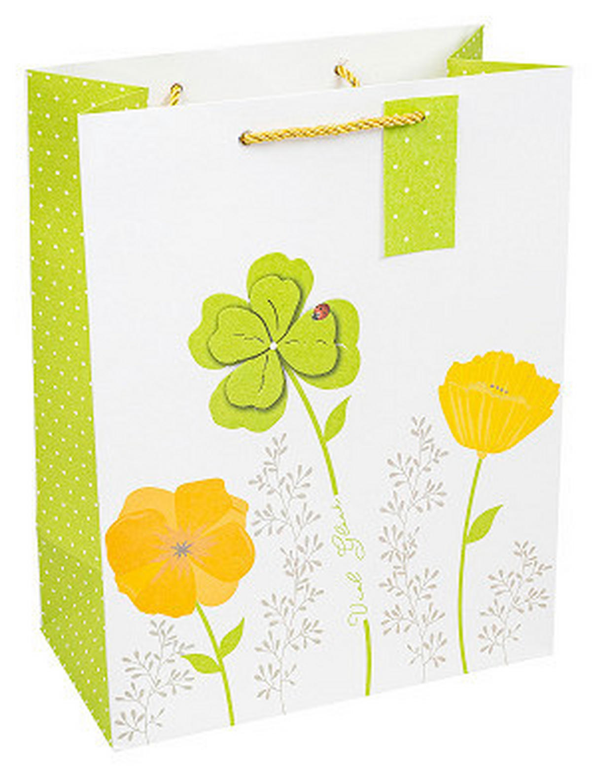 GESCHENKTASCHE  - Basics, Papier (17/22.5/9.2cm)