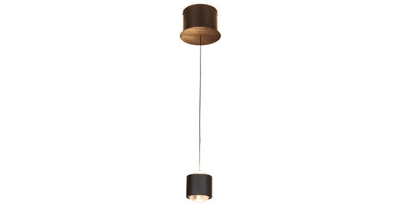 LED-HÄNGELEUCHTE 14/170 cm - Schwarz, Design, Kunststoff/Metall (14/170cm) - Novel