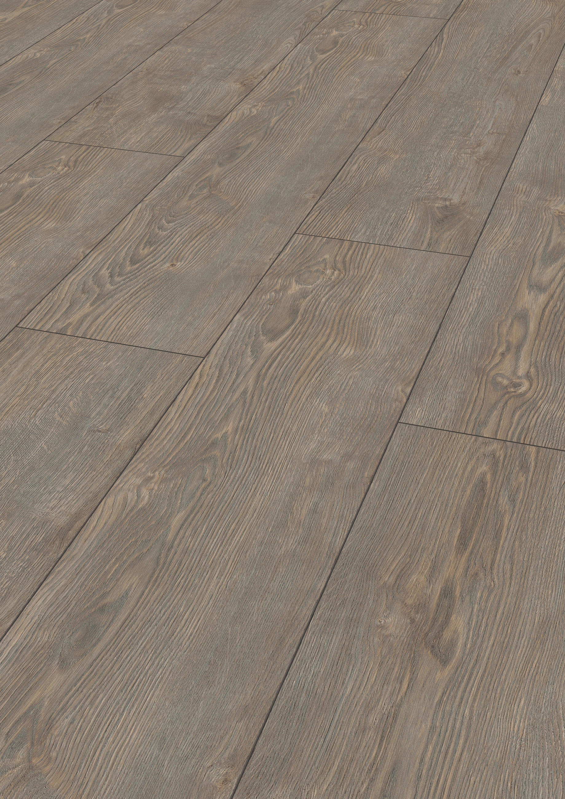 LAMINATBODEN Exquisit Plus  - Eiche grau, KONVENTIONELL, Holz (138.0/24.4/0.8cm)