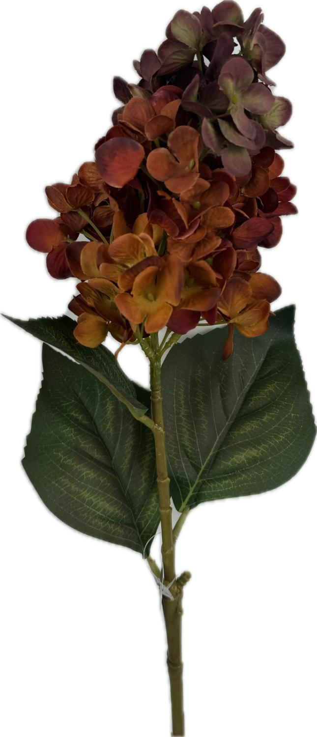 HORTENZIE 72 cm - bordeaux/zelená, Basics, plast (72cm)