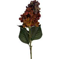 HORTENZIE 72 cm - bordeaux/zelená, Basics, plast (72cm)