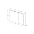 SCHWEBETÜRENSCHRANK 298/222/68 cm 3-türig Anthrazit  - Anthrazit/Schwarz, Design, Glas/Holzwerkstoff (298/222/68cm) - Moderano