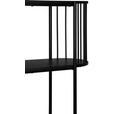 REGAL Schwarz  - Schwarz, Trend, Holzwerkstoff/Metall (80/133,5/34cm) - Xora