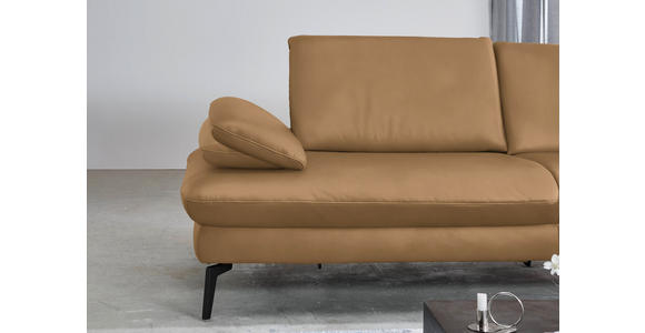 ECKSOFA in Echtleder Honig 325/157 cm - Schwarz/Honig, Design, Leder/Metall (325/157cm) - Dieter Knoll