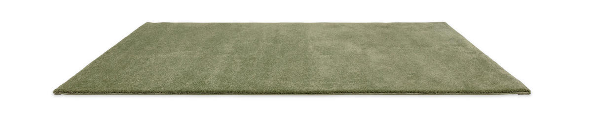 WEBTEPPICH 67/130 cm Savona Grün  - Grün, KONVENTIONELL, Textil (67/130cm) - Astra