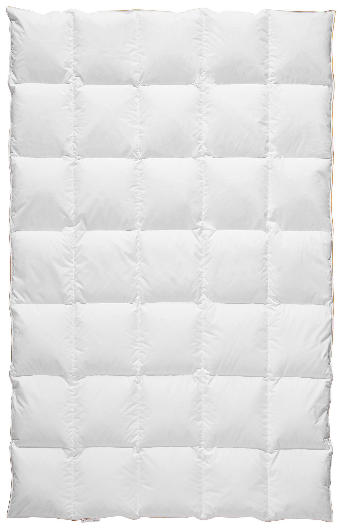 DAUNENDECKE  Golden Fame  155/220 cm   - Weiß, Basics, Textil (155/220cm) - Centa-Star