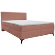 BOXBETT 160/200 cm  in Rosa  - Schwarz/Rosa, Design, Holz/Holzwerkstoff (160/200cm) - Xora