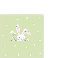 SERVIETTE    - Multicolor, Natur, Papier (12,5cm) - PPD