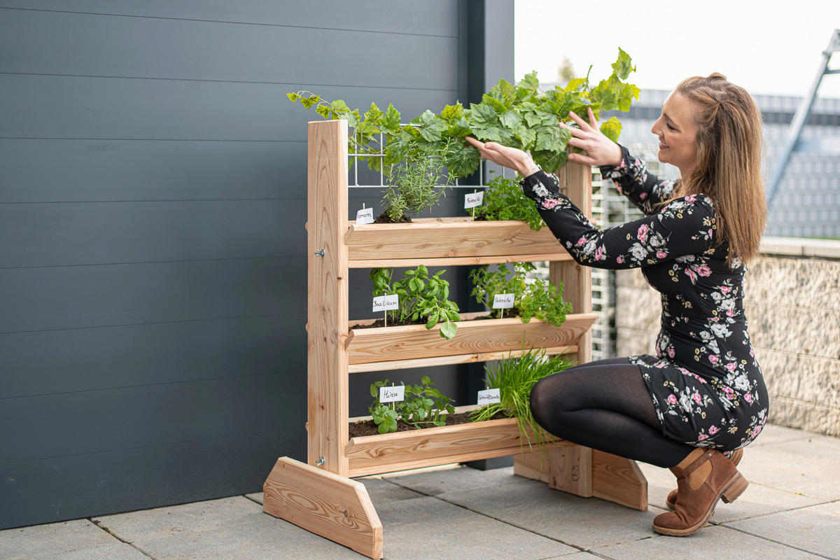 GARTENREGAL Holz  - Lärchefarben, Basics, Holz (80/95/50cm) - Ambia Garden