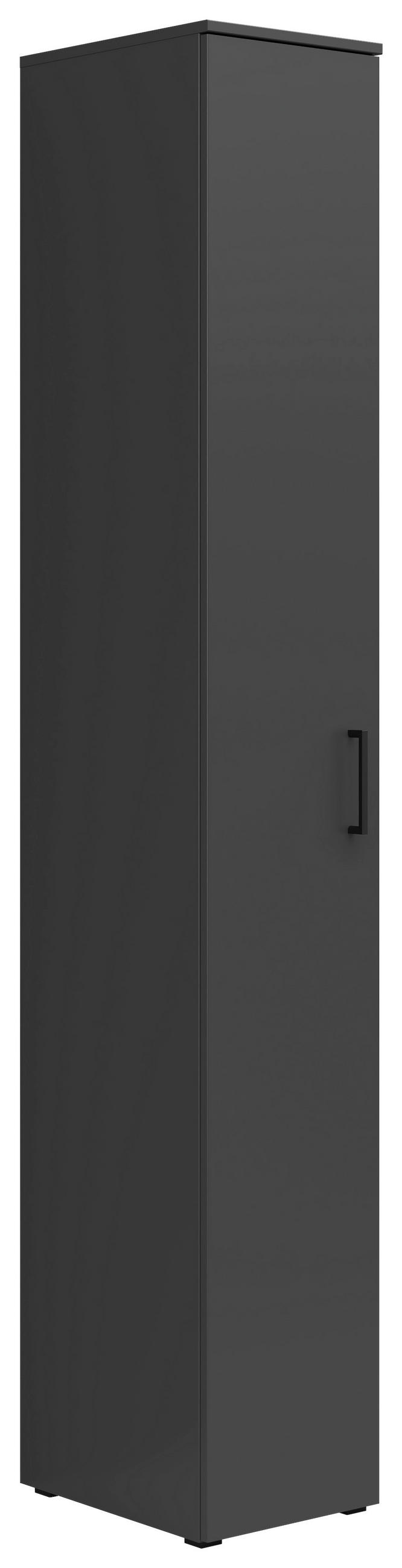VÍCEÚČELOVÁ SKŘÍŇ, barvy grafitu, 30/195/40 cm - černá/barvy grafitu, Moderní, kompozitní dřevo/plast (30/195/40cm) - Carryhome