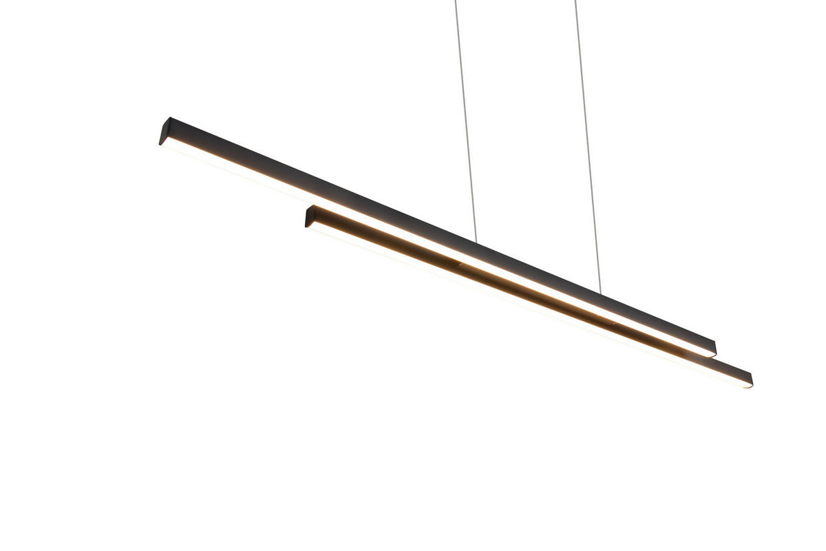 PENDUL LED - negru, Design, metal (110,0/150,0/8,5cm)