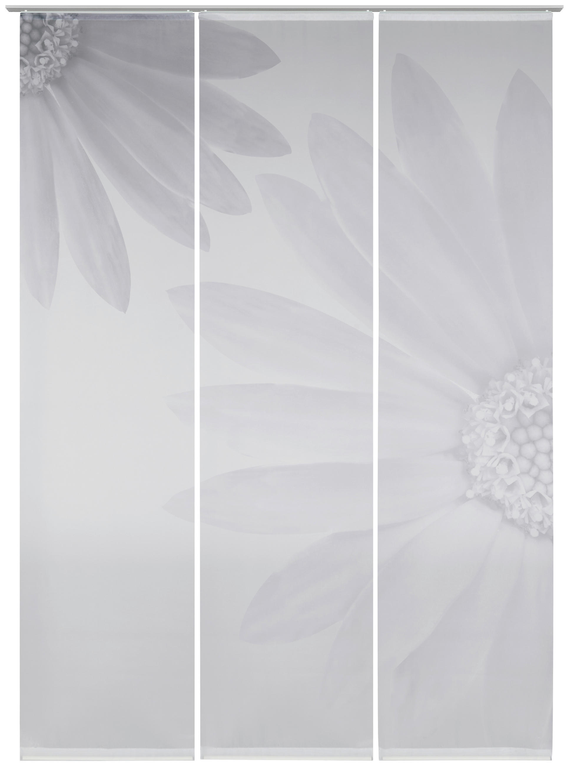 FLÄCHENVORHANG 3ER SET   halbtransparent  60/245 cm   - Silberfarben, Basics, Textil (60/245cm) - Novel