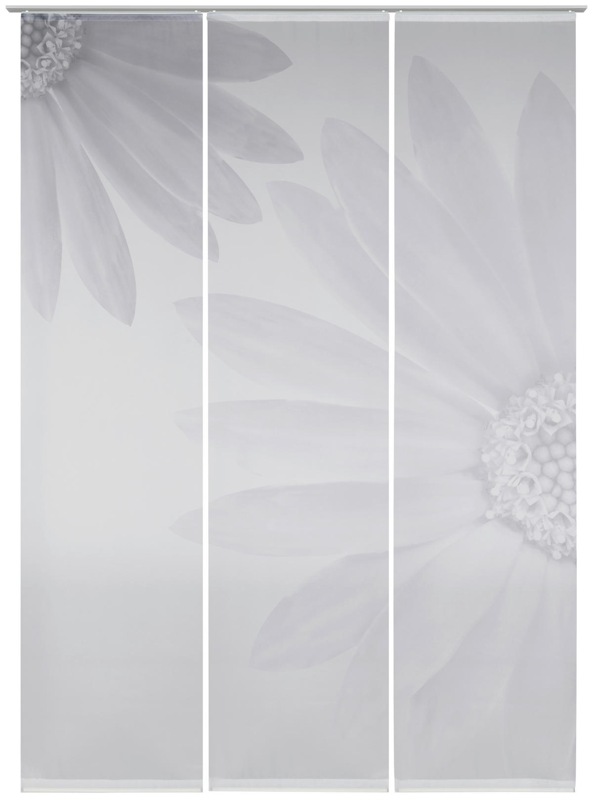 FLÄCHENVORHANG  3 Stück  halbtransparent  60/245 cm   - Silberfarben, Basics, Textil (60/245cm) - Novel