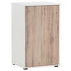 AKTENSCHRANK 50,9/83,6/41 cm  - Wildeiche/Weiß, MODERN, Holzwerkstoff (50,9/83,6/41cm) - MID.YOU
