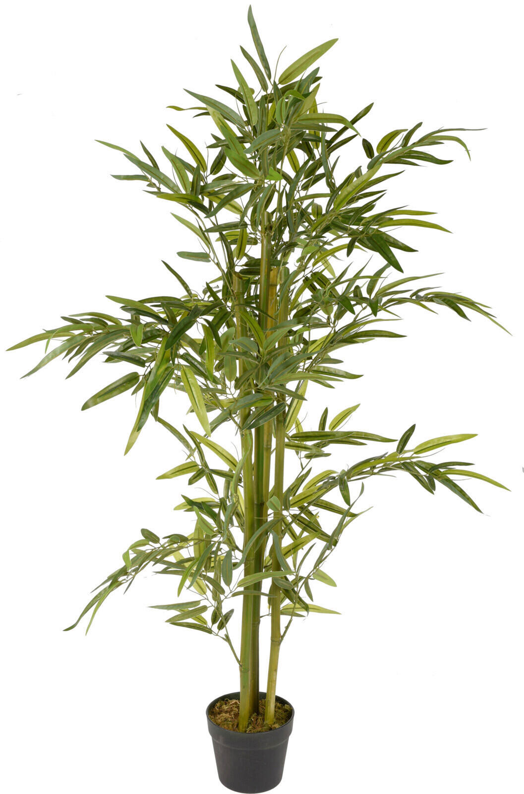 Plantă Artificială - verde, Basics, plastic (75/75/130cm)