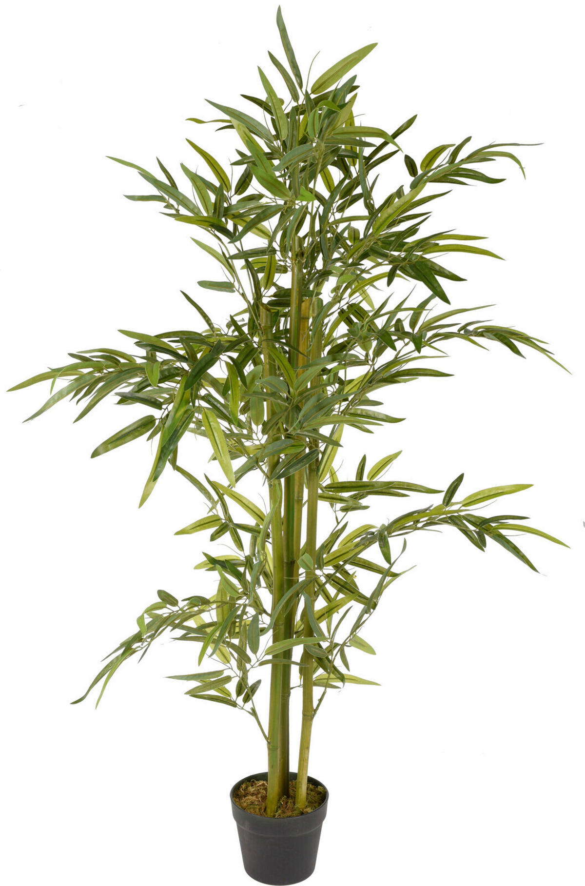 Plantă Artificială - verde, Basics, plastic (75/75/130cm)