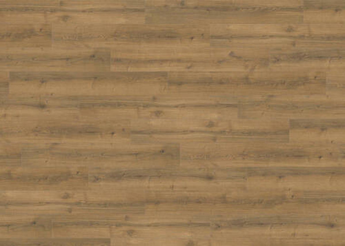 LAMINATBODEN Living by HARO Laminat NKL 32  per  m² - Eichefarben, Basics, Holzwerkstoff (19.3/128.2cm) - Living by HARO