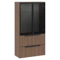 Dulap Suspendat  - grafit/gri, Basics, sticlă/material pe bază de lemn (35/168cm) - Sadena