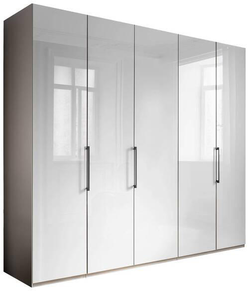 KLEIDERSCHRANK 250/216/58 cm 5-türig Weiß, Grau - Schieferfarben/Weiß, KONVENTIONELL, Glas/Holzwerkstoff (250/216/58cm) - Novel
