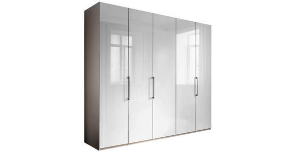 KLEIDERSCHRANK 250/216/58 cm 5-türig Weiß, Grau - Schieferfarben/Weiß, KONVENTIONELL, Glas/Holzwerkstoff (250/216/58cm) - Novel