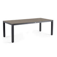 GARTENTISCH Metall, Kunststoff Anthrazit, Grau rechteckig  - Anthrazit/Grau, Basics, Kunststoff/Metall (220/100/75cm) - Tierra Outdoor