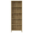 REGAL Eiche Artisan  - Eiche Artisan, Design, Holzwerkstoff (60/175/24cm) - Carryhome