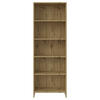 REGAL Eiche Artisan  - Eiche Artisan, Design, Holzwerkstoff (60/175/24cm) - Carryhome