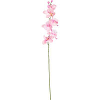 UMĚLÁ KVĚTINA orchidej 72 cm - pink/zelená, Basics, textil/plast (72cm)
