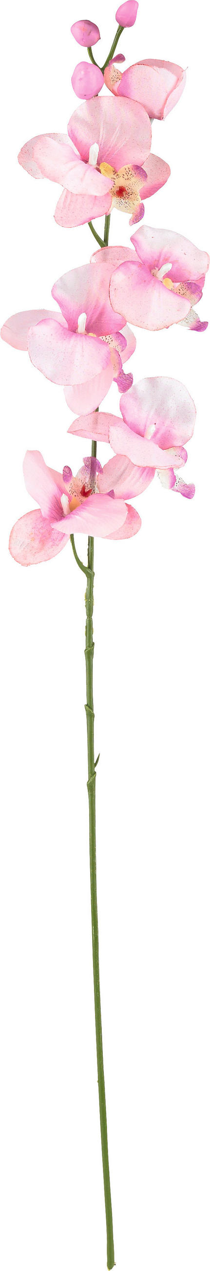 UMĚLÁ KVĚTINA orchidej 72 cm - pink/zelená, Basics, textil/plast (72cm)