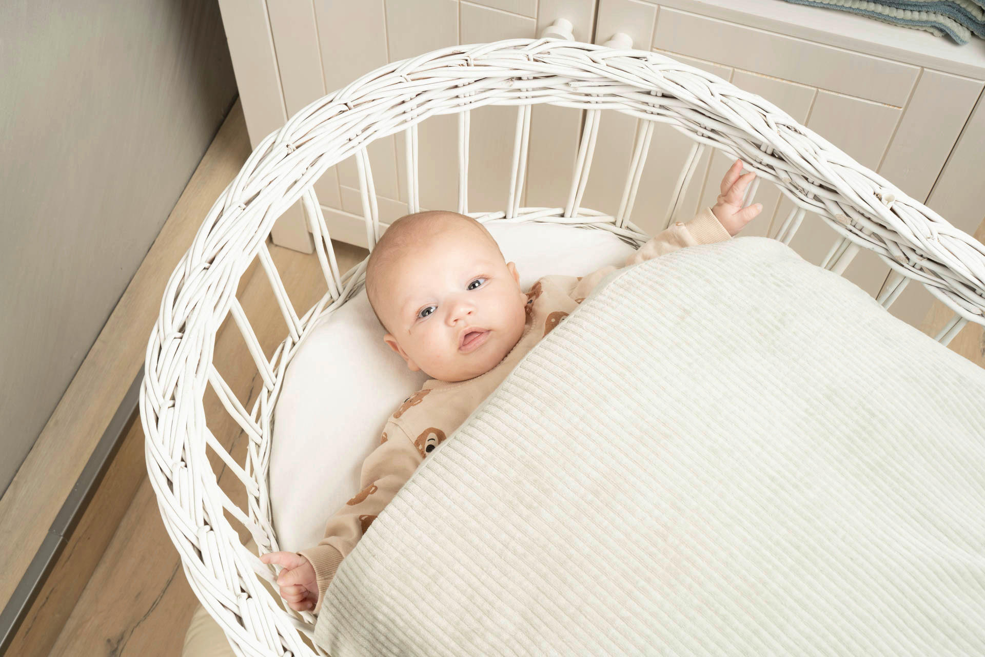 BABYBETTWÄSCHE 80/80 cm  - Grün, Basics, Textil (80/80cm) - Bebe's Collection