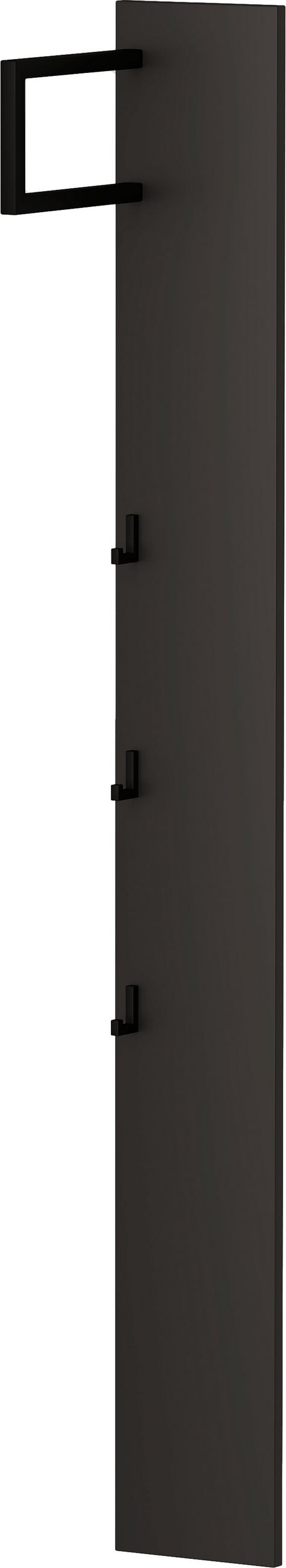 GARDEROBENPANEEL  in 20/165/26 cm  - Anthrazit/Schwarz, Design, Holzwerkstoff/Metall (20/165/26cm) - Dieter Knoll