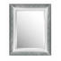 SPIEGEL 43,8/53,8/2,5 cm - Silberfarben, LIFESTYLE, Glas/Kunststoff (43,8/53,8/2,5cm) - Landscape SPIEGEL 43,8/53,8/2,5 cm - Silberfarben, LIFESTYLE, Glas/Kunststoff (43,8/53,8/2,5cm) - Landscape