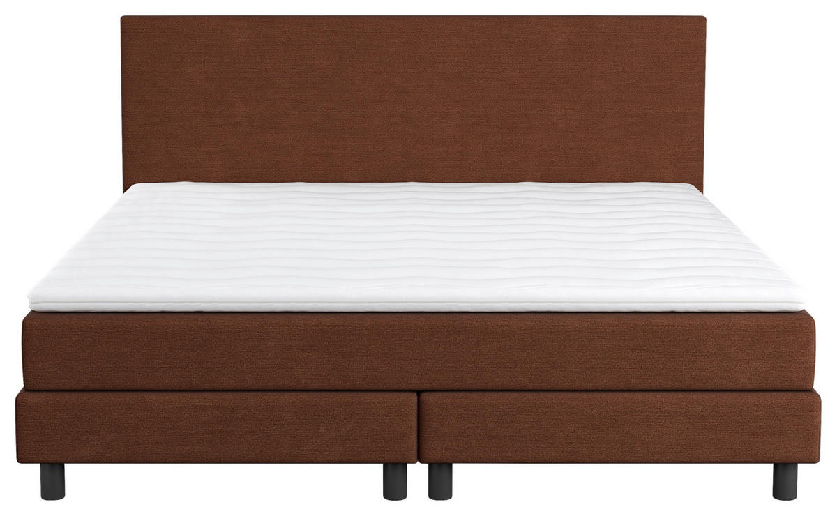 BOXBETT 140/200 cm  in Braun  - Schwarz/Braun, Modern, Holz/Holzwerkstoff (140/200cm) - MID.YOU