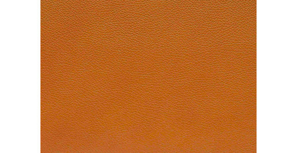 RELAXSESSEL in Leder Cognac  - Cognac/Schwarz, Design, Leder/Metall (92/79/82cm) - Dieter Knoll