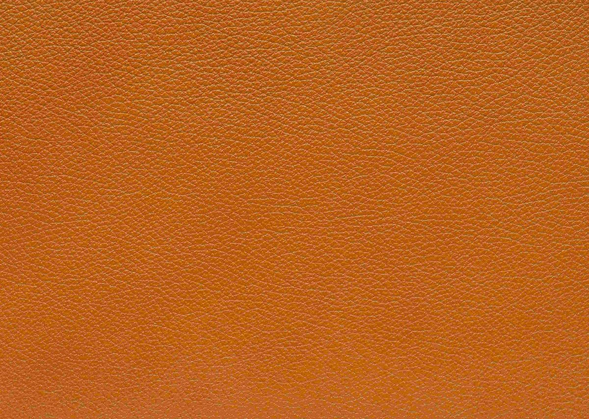 SESSEL in Echtleder Cognac  - Wildeiche/Cognac, Design, Leder/Holz (72/82/86cm) - Koinor