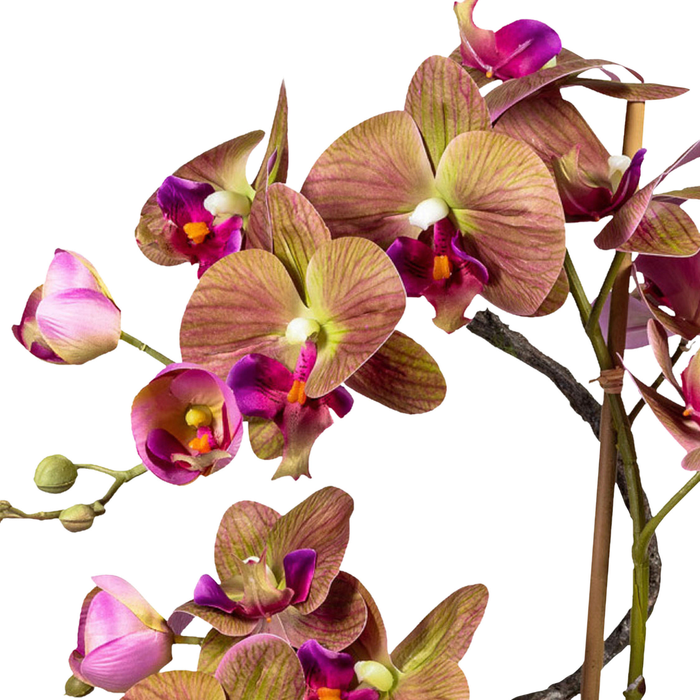 KUNSTPFLANZE Orchidee 70 cm  - Lila/Braun, Design, Keramik/Kunststoff (70cm) - P & B