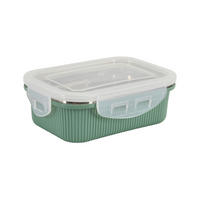 Recipient Depozitare Alimente  0.600 L  - străveziu/culoare inox, Basics, plastic/metal (18,2/13,1/5,8cm) - Homeware Profession.