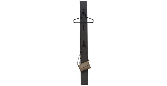 GARDEROBENPANEEL  in 15/170/3 cm  - Graphitfarben/Schwarz, Design, Holzwerkstoff (15/170/3cm) - Voleo