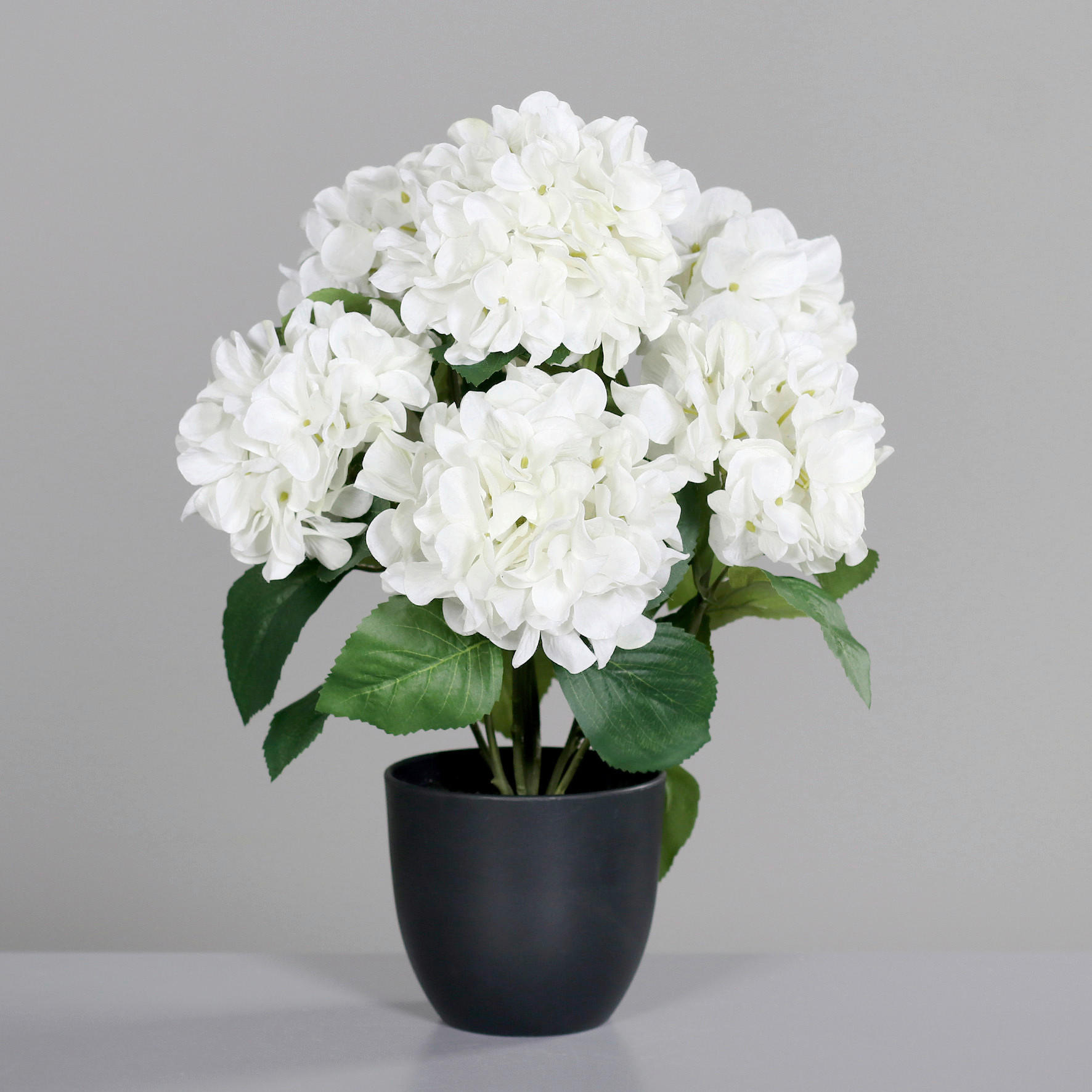 HORTENSIE - Weiss/Schwarz, Basics, Kunststoff/Textil (45cm)