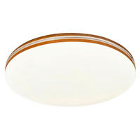 STROPNÍ LED SVÍTIDLO, 34/8/34 cm - Basics, kov/plast (34/8/34cm)
