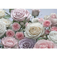 FOTOTAPETE - Creme/Rosa, Natur, Papier (368/254cm)