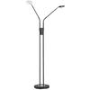 LED-STEHLEUCHTE 25/150 cm    - Schwarz, Basics, Metall (25/150cm) - Fischer & Honsel