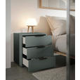 NACHTSCHRANK 45/51/40 cm  - Salbeigrün/Schwarz, Basics, Holzwerkstoff/Kunststoff (45/51/40cm) - Carryhome